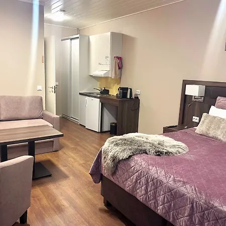 Hotel Boreas Rovaniemi